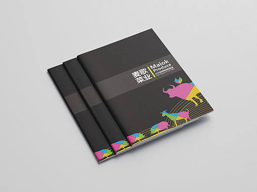 画册设计