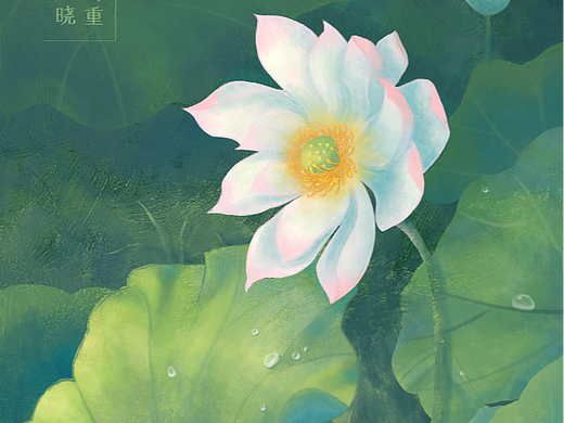 一池荷花