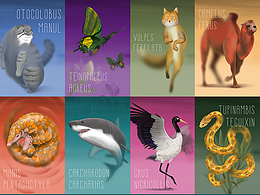 珍稀動(dòng)物100《失·物》系列