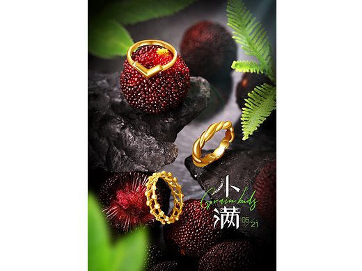 二十四节气海报-小满