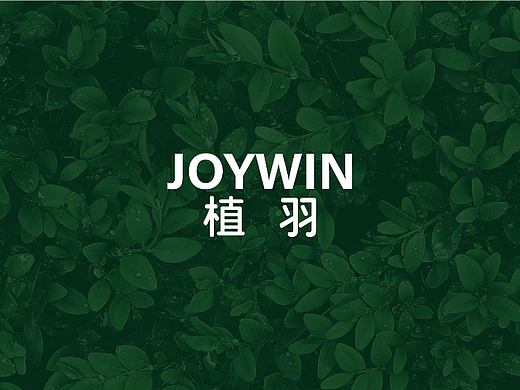 提案系列--logo提案