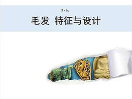 3·6、毛发 特征与设计