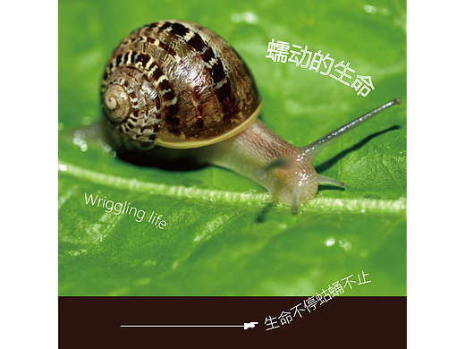 【第二十五天】 B计划-28天技能训练