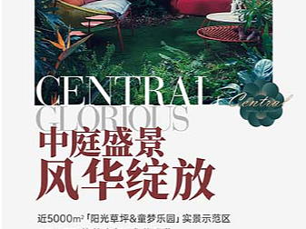 示范区开放宣传长图