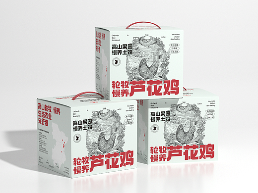 轮牧慢养土鸡蛋