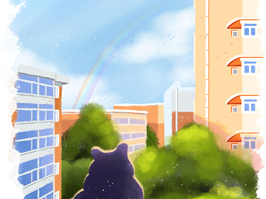 雨后彩虹