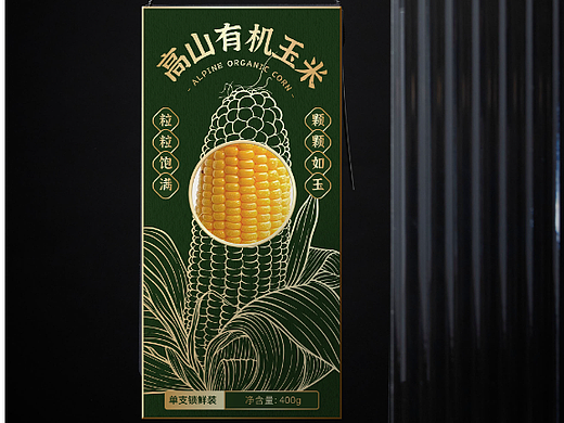 玉米包装插画