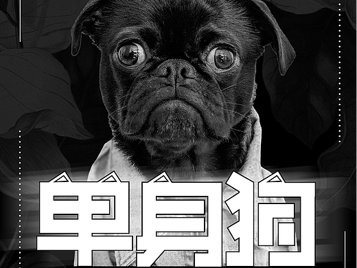 字体设计 —单身狗