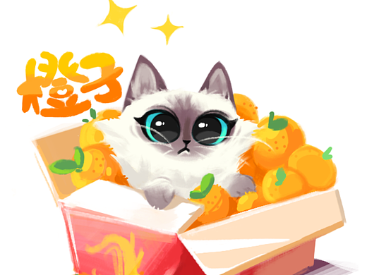 宠物头像-小布偶猫