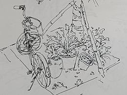 00-速写 (´▽｀)ノ♪