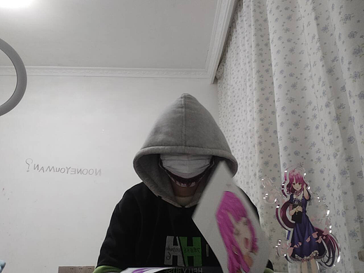 给自己整了一个学园孤岛的画风