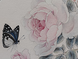 扇子有风  系列 6