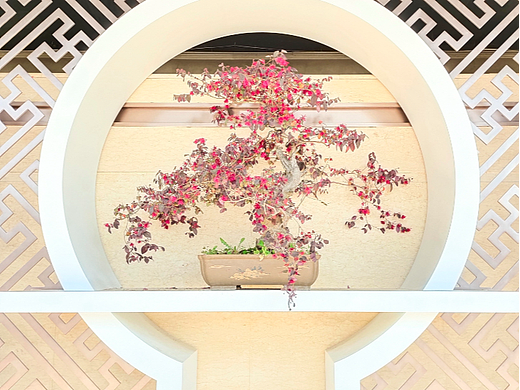 花与纹