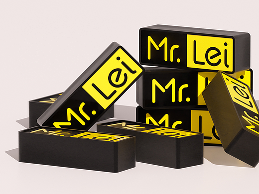 Mr. Lei 小雷先生
