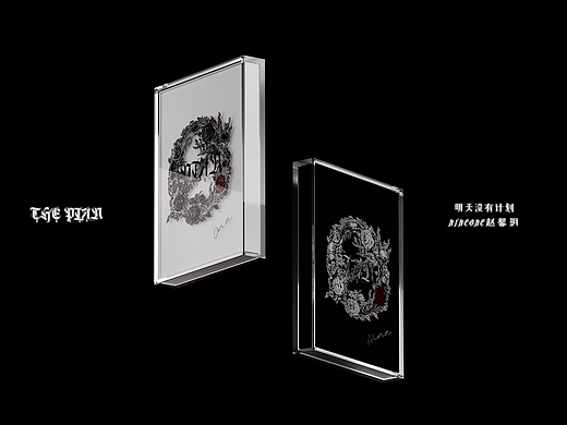 NINEONE赵馨玥《The Plan》| 专辑设计（个人主页-ZNjc3MDc5Mjg=） - 包装 - 站酷设计师AlphaformLab原创素材 - 站酷ZCOOL