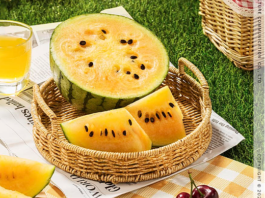 李子妃 X  冰淇淋西瓜丨产品摄影