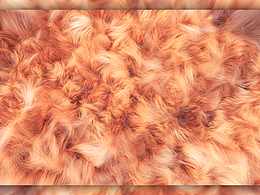 C4D 毛发质感表现