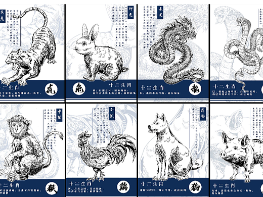 十二生肖---装饰性插画设计#创作加油站#