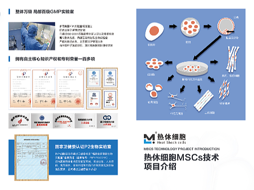 一些折页