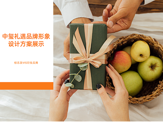 深圳中玺礼遇品牌视觉vi升级提案
