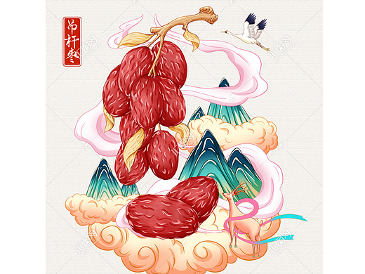 吊杆枣插画手绘
