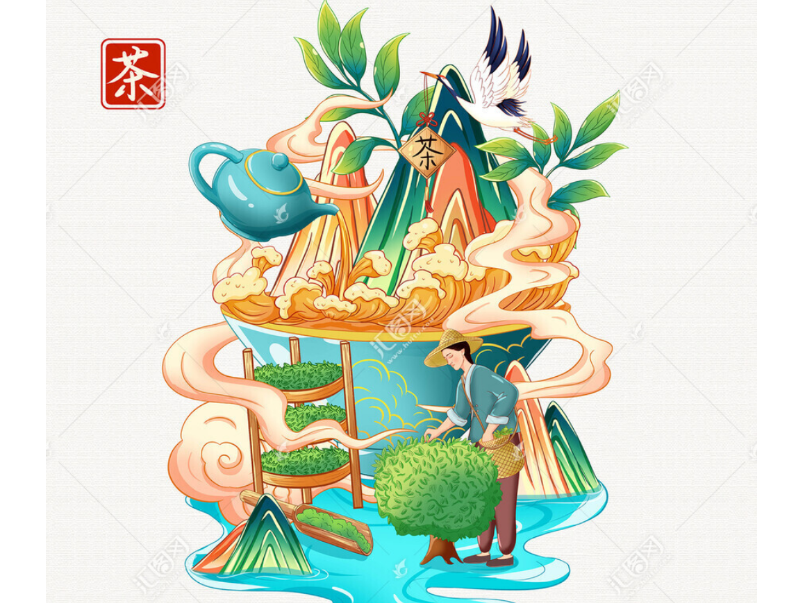 茶叶插画手绘
