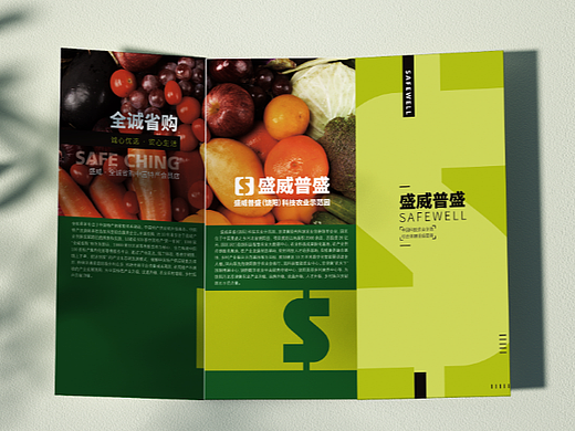 产品三折页版式（个人主页-ZNjMwMTI1NTI=） - 宣传物料 - 站酷设计师纪老爷原创素材 - 站酷ZCOOL