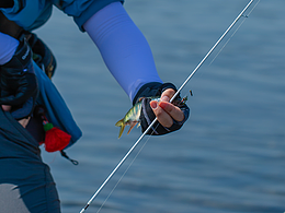 路亚之旅-新津江畔