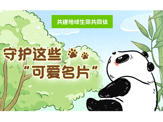 2021/国际生物多样性日｜熊猫科普条漫
