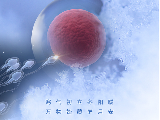 立冬 二十四节气（个人主页-ZNjQ2MDY3OTI=） - 海报 - 站酷设计师Z54366356原创素材 - 站酷ZCOOL