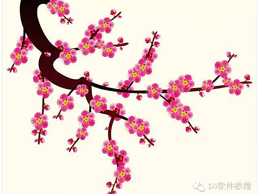 CDR手绘梅花教程
