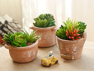 廚房花盆（個(gè)人主頁(yè)-ZMTI5MTM1NDA=） - 電商 - 站酷設(shè)計(jì)師打盹的松鼠原創(chuàng)素材 - 站酷ZCOOL