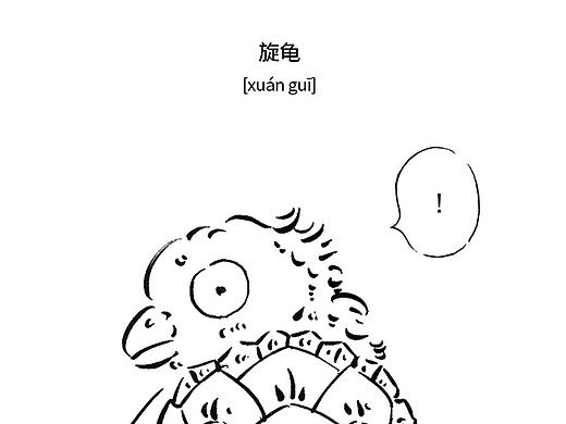 《山海经》中的旋龟是何物?你见过么?