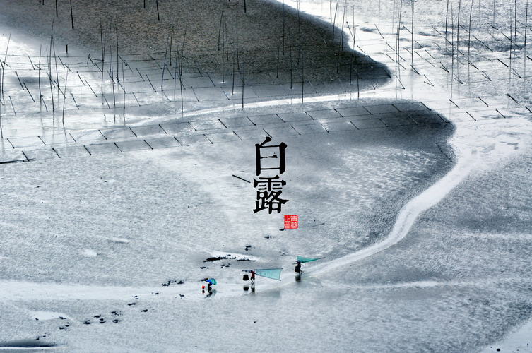 erdamayaya的個(gè)人主頁(yè)（封面預(yù)覽） - 主頁(yè)封面設(shè)置 - 站酷設(shè)計(jì)師erdamayaya原創(chuàng)素材 - 站酷ZCOOL