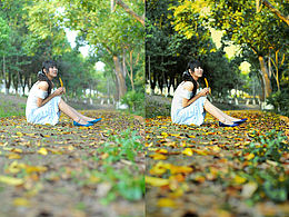 【图片处理篇】秋天的落叶依然很美