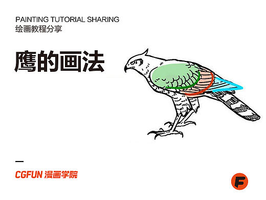 教你如何画好漫画教程75-鹰的画法