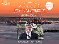 七分想，三分做——汇聚加拿大设计思路回顾