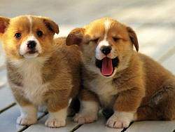 自己收集平時用到的技巧