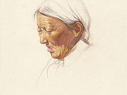 彩铅头像绘画步骤-藏族老妇人