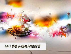 2011年电子商务网站百花齐放