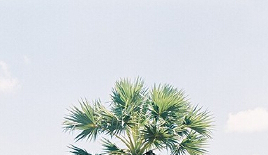 馮萌萌的個(gè)人主頁(yè)（封面預(yù)覽） - 主頁(yè)封面設(shè)置 - 站酷設(shè)計(jì)師馮萌萌原創(chuàng)素材 - 站酷ZCOOL