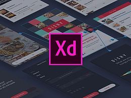 Adobe XD 开发团队采访