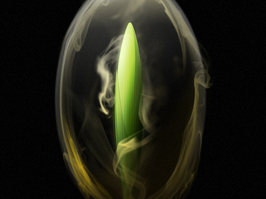 用AI玩烟雾才是最正确的打开方式