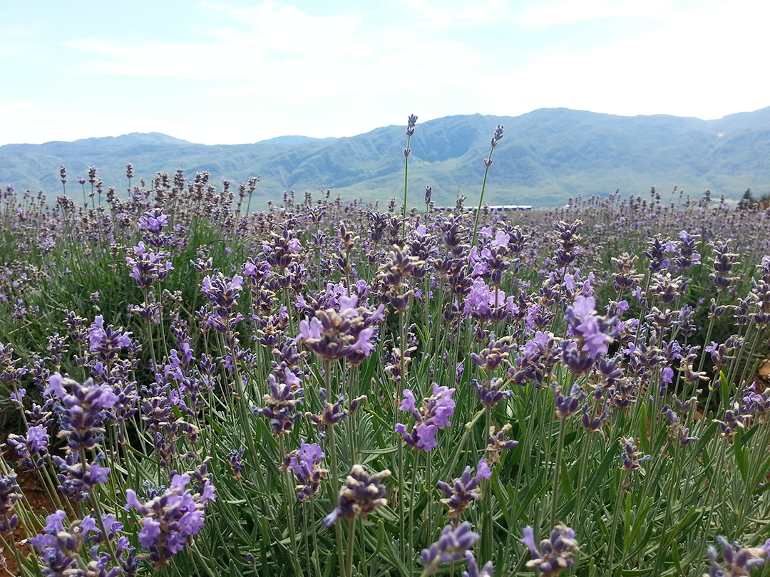 欢欢欢在哪里的个人主页（背景预览） - 主页背景设置 - 站酷设计师欢欢欢在哪里原创素材 - 站酷ZCOOL