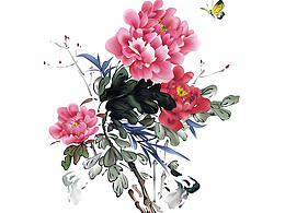 插画设计