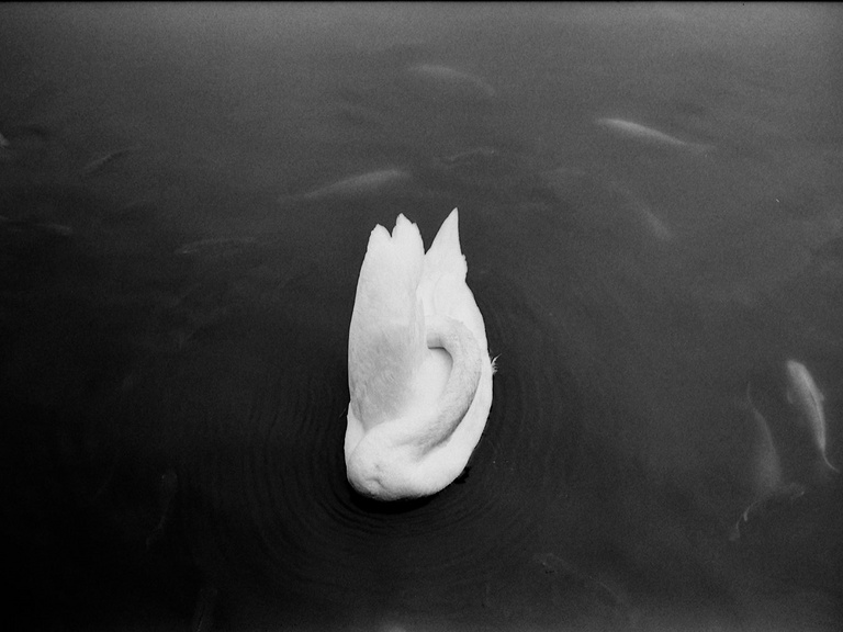 木木木一易的个人主页（背景预览） - 主页背景设置 - 站酷设计师木木木一易原创素材 - 站酷ZCOOL