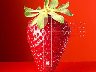 嘉顿利是详情+%^&*()