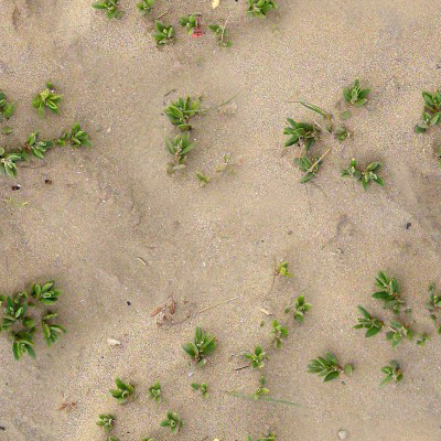 daveli的个人主页（背景预览） - 主页背景设置 - 站酷设计师daveli原创素材 - 站酷ZCOOL