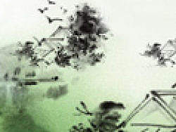 網(wǎng)站體驗性