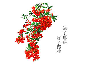 来日绮窗前,寒梅着花未【临摹习作】(个人主页-ZMTI2Mzc2NzI=) - 创作习作 - 站酷设计师月见大人原创素材 - 站酷ZCOOL